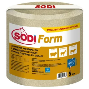 BLOC DE SEL A LÉCHER PETITS RUMINANTS 5KG - SODI