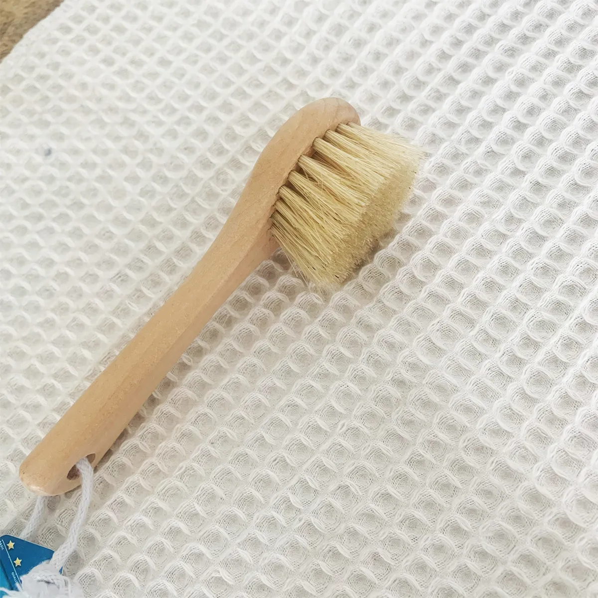 Brosse à champignons en bois naturel 