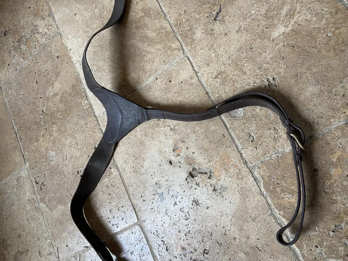 Collier de chasse