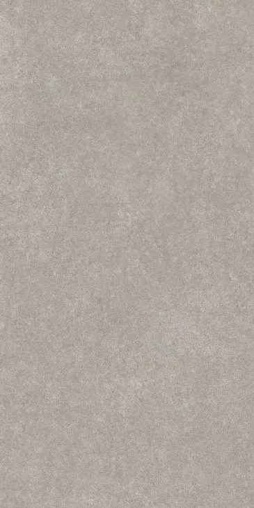 Florim Elemental Stone Grey Sandstone Brillant 30x60 cm 766628 | Carrelage imitation pierre 
