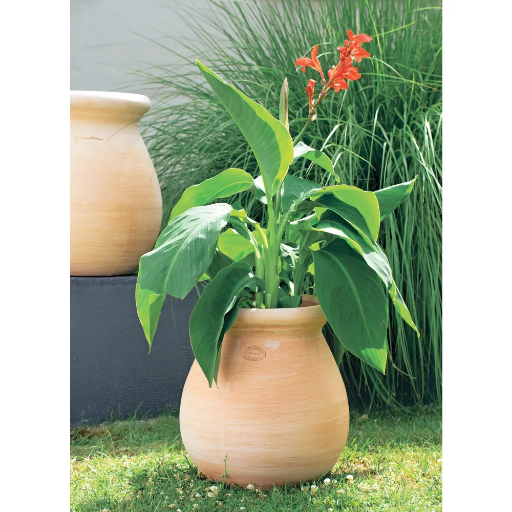 Jarre Provençale en terre cuite Ø 34 x H. 40cm