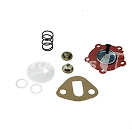Kit de réparation pompe d'alimentation adaptable Case Ih/Claas/Renault/Ford/JCB/Landini/Massey Ferguson/Merlo