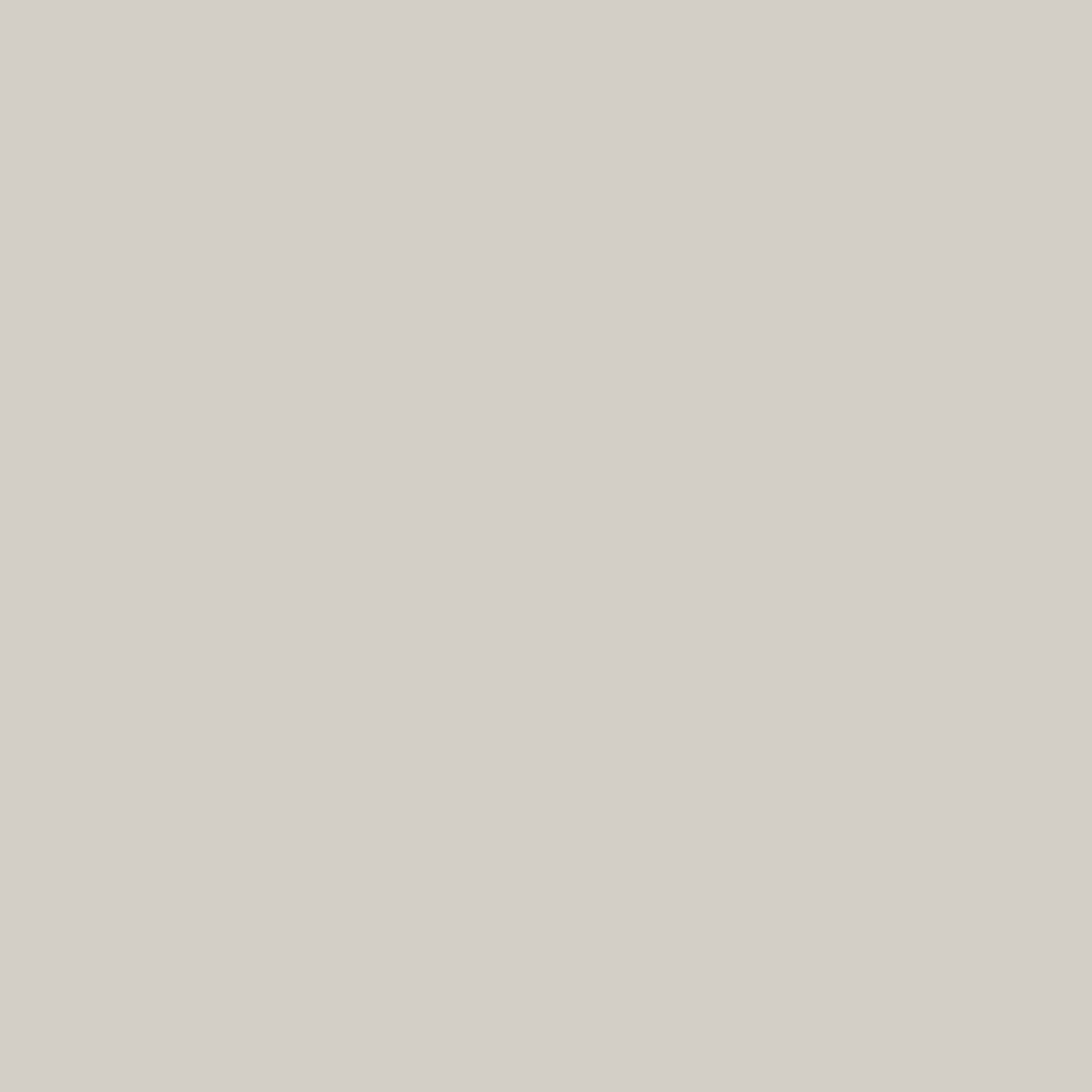 Pantalon Wanoga Lightweight - Homme