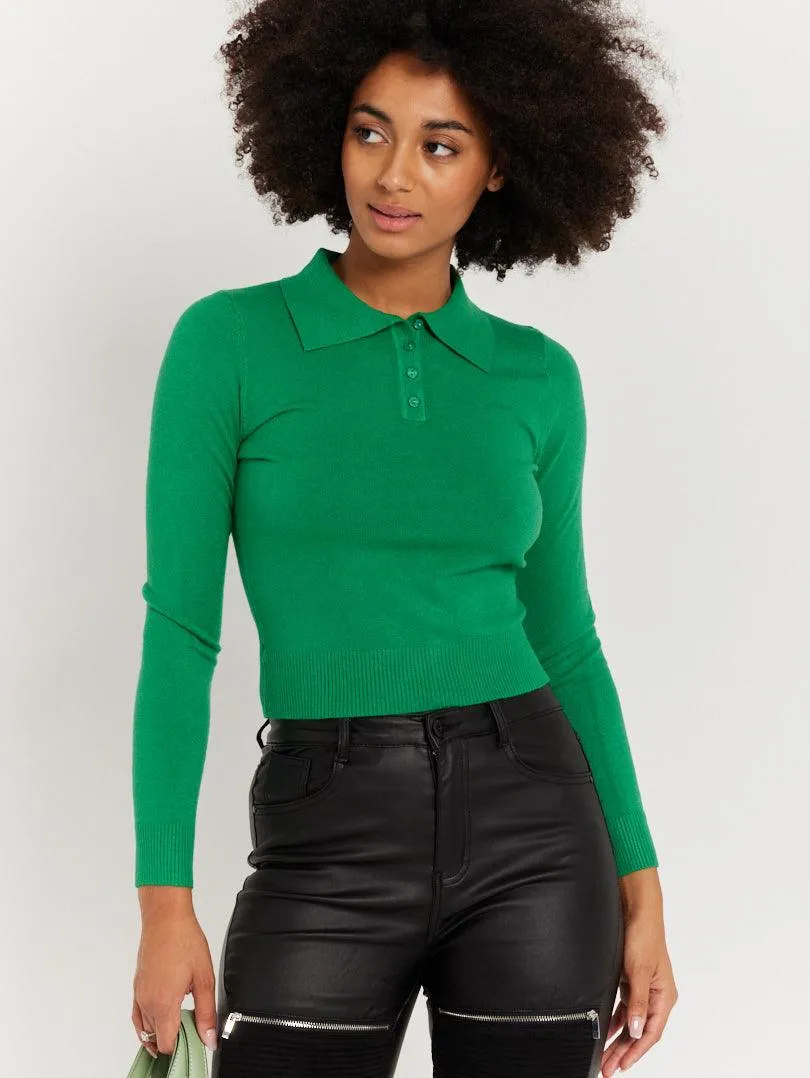 Pull col chemise boutonné