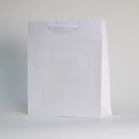 Sac en papier noblesse blanc 26x11x32cm par 100